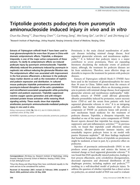 PDF Triptolide Protects Podocytes From Puromycin Aminonucleoside