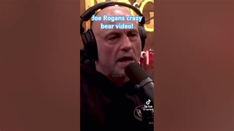 Joe Rogans Crazy Bear Video Youtube