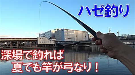 秋まで待てない、深場も楽しい夏のハゼ釣り Youtube