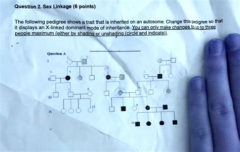 Solved Question Sex Linkage Points The Following Pedigree Shows