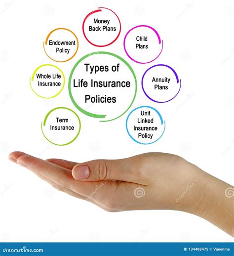 Types of Life Insurance Policies Stock Image - Image of diagram, seven ...