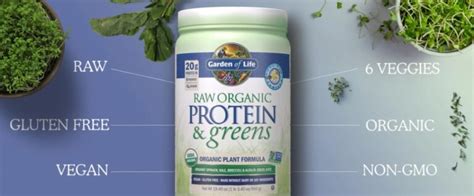 Garden Of Life Protein And Greens Review - A Thorough Look