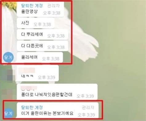 텔레그램 N번방의 피의자 갓갓과 N번방에 대한 개념과 실체 총정리 Newsnack