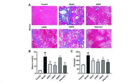 Effects Of Aepe And Its Fractions On Liver Fibrosis In Rats