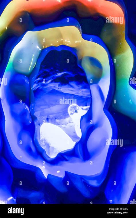 A young penguin called Puck greets visitors as they enter Antarctica