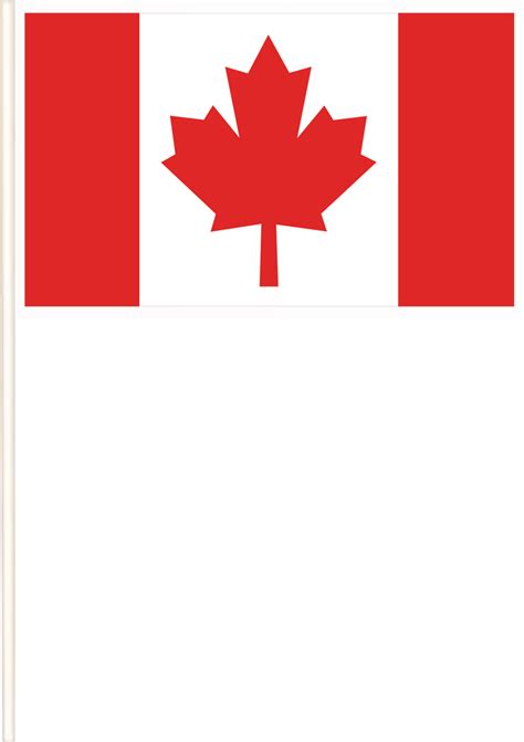 Canadian Flags, 12-ct | Party City