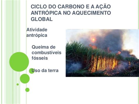 Ciclo Do Carbono E Mudanças Climáticas