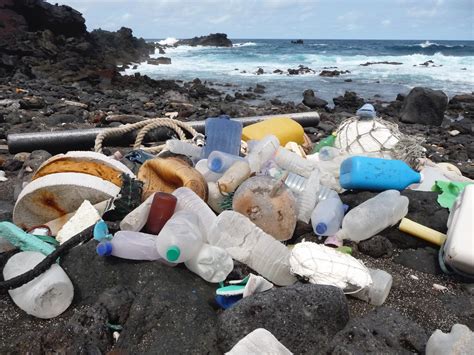 Scientists sound alarm on plastic pollution | ASU Now: Access ...