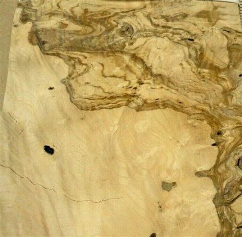 Ash Olive Burl Wood Veneer 8 X 10 Raw No Backing Etsy