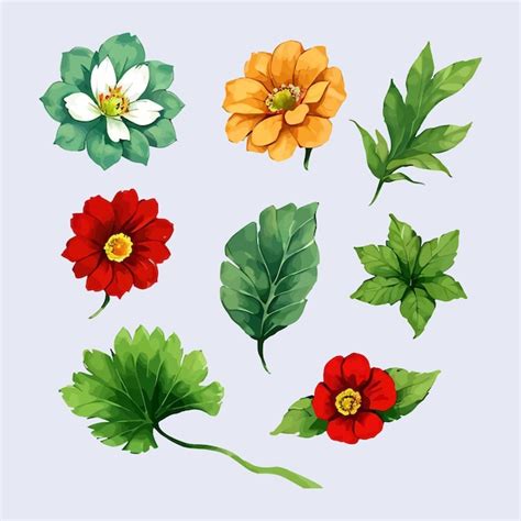 Wasserfarbvektor Set Von Blumen Bl Tenbl Ttern Sammlung Illustration