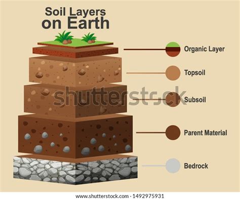 Stock Vektor „diagram Showing Different Layers Soil Illustration“ Bez