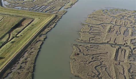 Good News August Dolphin Poo Free Trains A New Essex Hiking Path