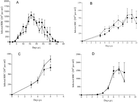 A Primary P Yoelii Infection In C57bl6 And Gp91 Phox Mice B Download Scientific Diagram