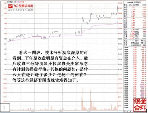 大资金做庄融资操盘分析看盘绝招图解教程767股票学习网