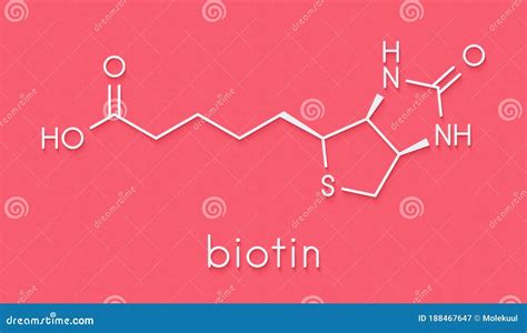 Vitamin B Biotin Molecule Skeletal Formula Stock Illustration