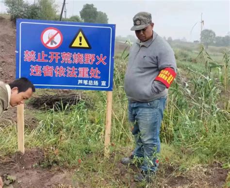 君山区：护牢一滩苇田 守好一方平安 区县新闻 华声在线岳阳频道