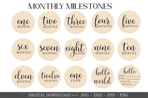 Baby Monthly Milestone Svg Bundle Graphic By Chamsae Studio