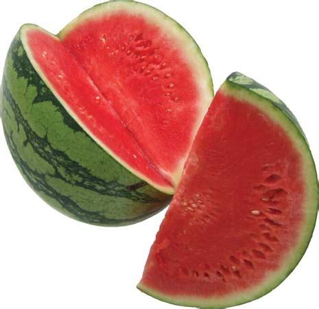 Watermelon | fruit | Britannica.com