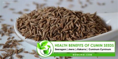 Health Benefits Of Cumin Seed [20 Powerful Uses]