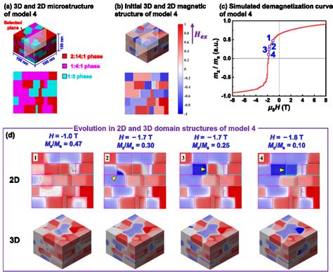 A 3d Microstructure Of Model 4 And 2d Microstructure Of The Selected