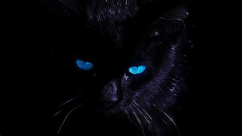 Blue Cat Wallpapers - Top Free Blue Cat Backgrounds - WallpaperAccess