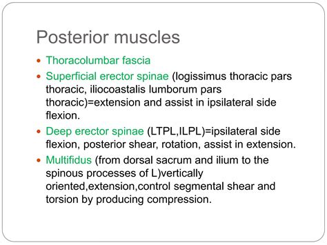 Anatomy and biomechanics of lumbar spine | PPTX