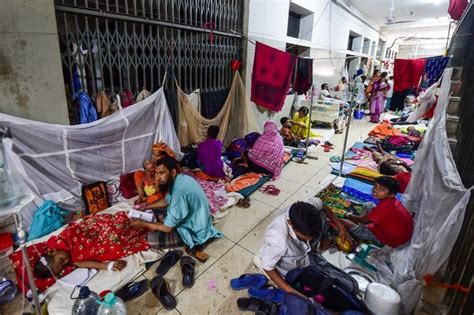 We Are Scared Deadly Dengue Outbreak Overwhelms Bangladesh