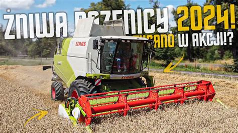 Pierwsi We Wsi Żniwa Pszenicy 2024 Claas Tucano 440 W Akcji 2x