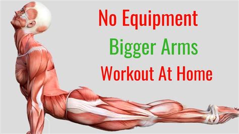 5 Bicep Exercises For Bigger Arms No Equipment Arm Workout Youtube