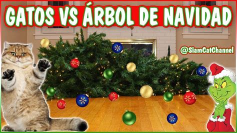 Details Rboles De Navidad Para Gatos Abzlocal Mx