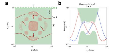 001 Projected Surface States On SrSi 2 A Fermi Arcs For Top