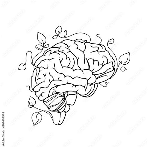 Human Brain Vector Line Art Illustration Isolated On White Background