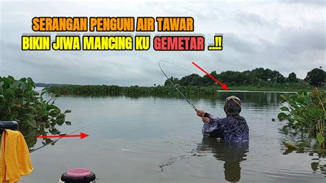 GILA SERASA MAU PATAH TEGEK KU Spot Baru Mancing Nila Umpan Jitu