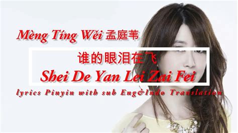 Mèng Tíng Wěi 孟庭苇 Shei De Yan Lei Zai Fei 谁的眼泪在飞 Lyrics Pinyoin Sub Engandindo Youtube