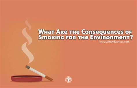 What Are The Consequences Of Smoking For The Environment Infographic