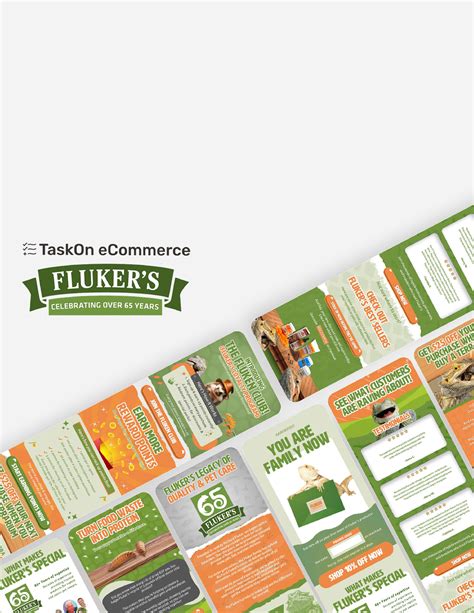 TaskOn eCommerce - Klaviyo Agency Partner Directory