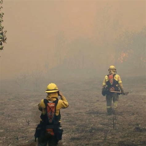 Incendios forestales en Ecuador más de 20 000 se han registrado en la