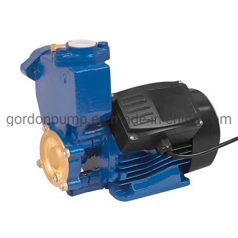 Ps126 Self Priming Peripheral Electric Booster Pressure Centrifugal Water Pump China Pump And