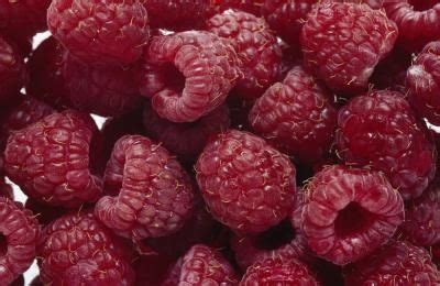 Raspberry Plants For Zone 9 EHow Raspberry Plants Freeze Dried