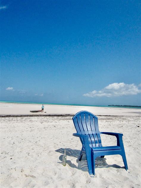 ash (@wallacexashley) • Instagram photos and videos