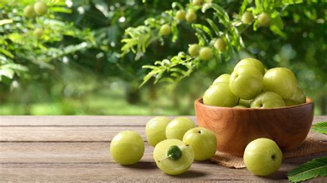 The Indian Gooseberry Amla S Health Benefits And Medicinal Use ZETTA