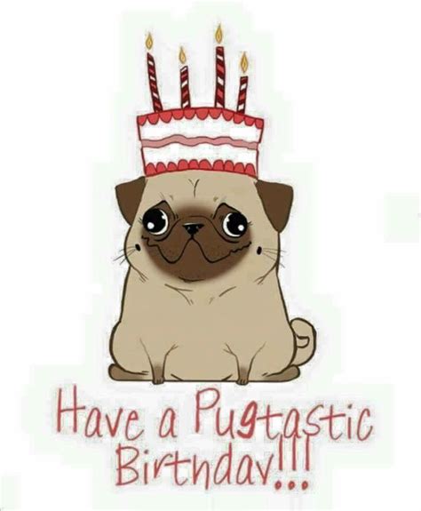 Pin By Dawn Hackworth On Pet Birthday Happy Birthday Pug Happy