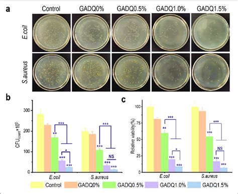 Antibacterial Activity Of The Gadq Hydrogels A Optical Images Of