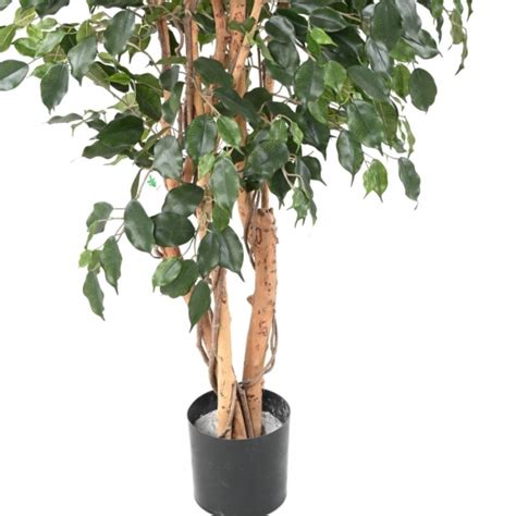 Ficus Artificiel Exotica