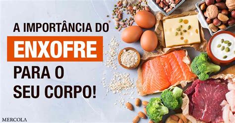 A Importância Do Enxofre Para O Corpo