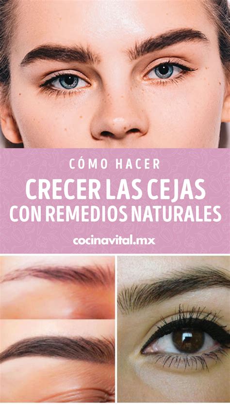 C Mo Hacer Crecer Las Cejas Con Remedios Naturales Y Caseros Hacer