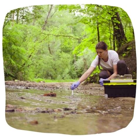 ecologist career  stem