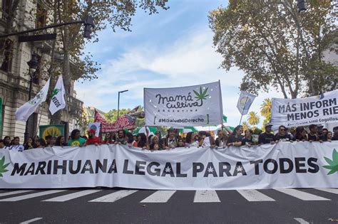 Organizaciones cannábicas convocan a la marcha mundial de la marihuana