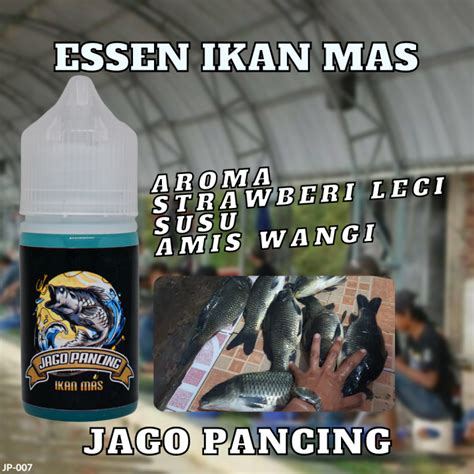 Essen Jago Pancing Tb Essen Ikan Mas Paling Ampuh Paling Jitu Cocok