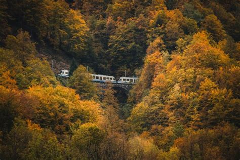 Riparte Il Treno Del Foliage Pi Turismo